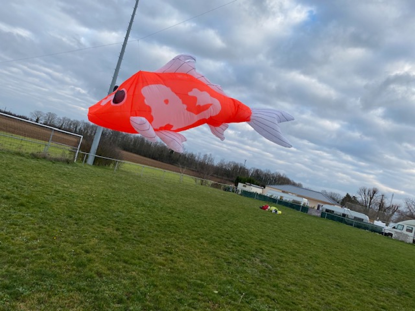 Cerf-volant De Poisson Rouge Photo stock - Image du culture, mouche:  29971076