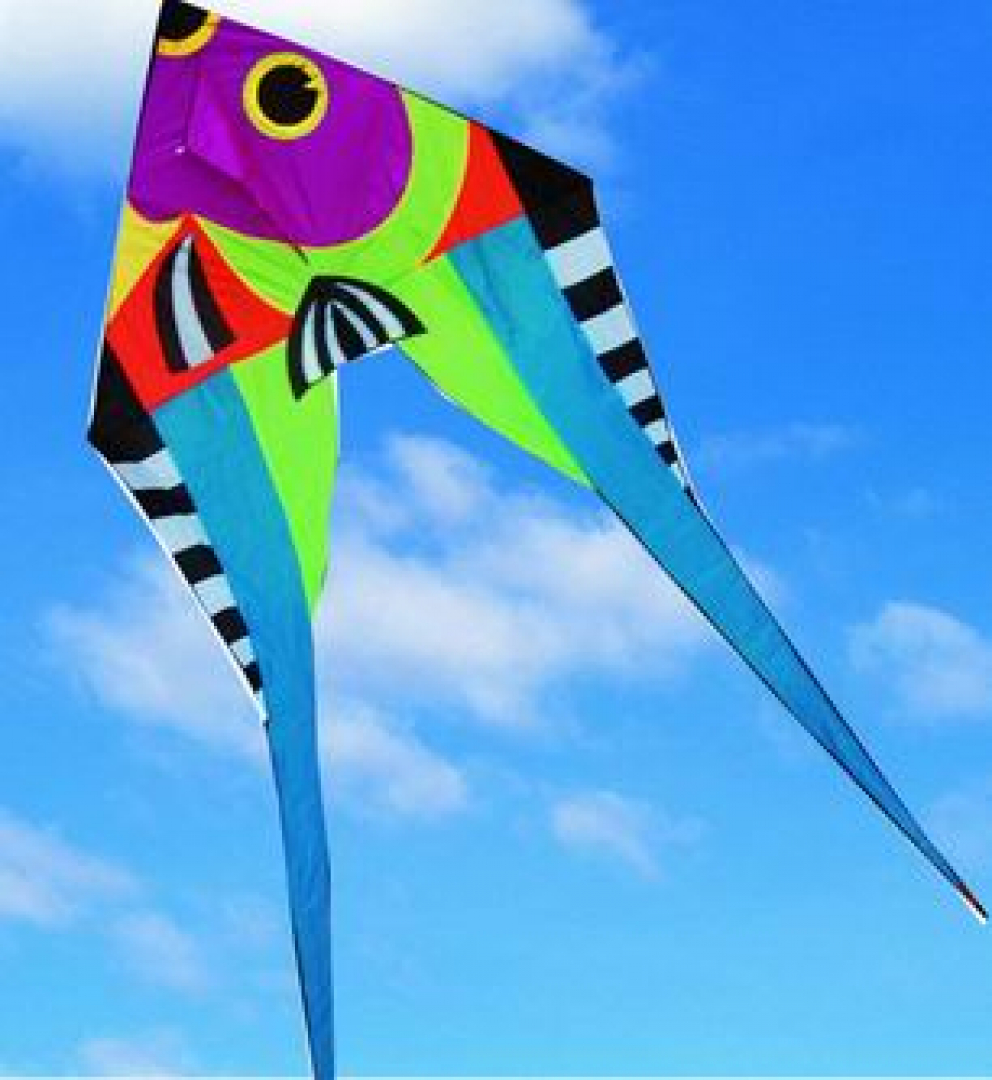 Livraison gratuite 3d Cerfs-volants volant pour adultes Cerfs-volants Nylon  Voilier Cerfs-volants à vendre Parachute Brise Voler avec poignée Vol Cerf- volant Serpent